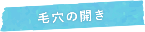 毛穴の開き